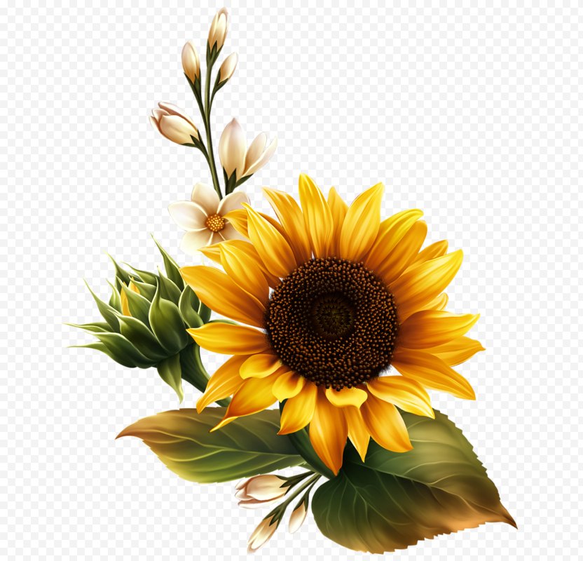 Free Free 56 Clipart Sunflower Seeds SVG PNG EPS DXF File