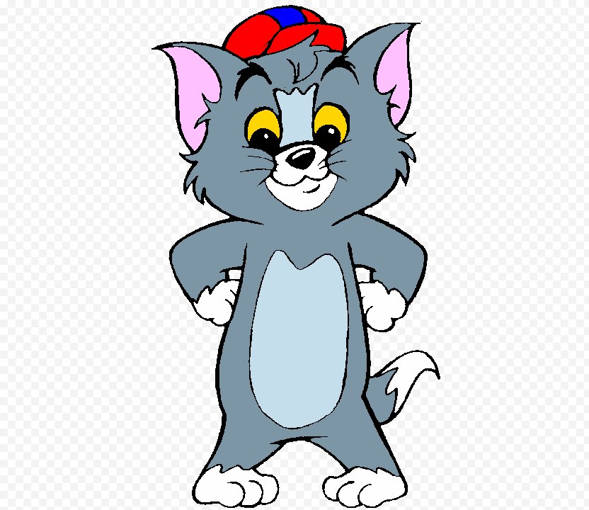 Tom Cat Jerry Mouse Nibbles And Cartoon Whiskers Png