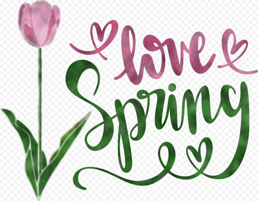 Love Spring Spring PNG