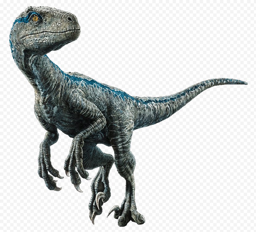 Velociraptor Velociraptor Dinosaur Owen Indominus Rex Velociraptor Png