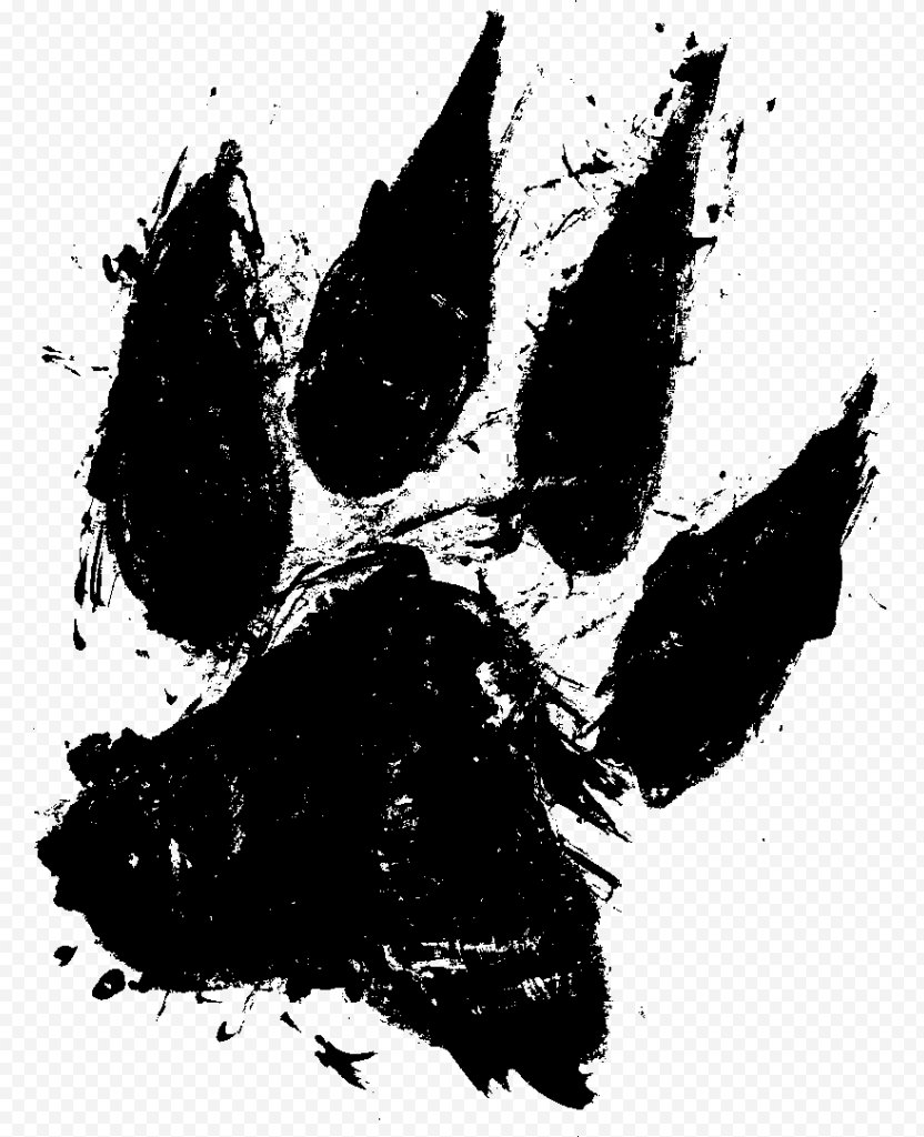 Dog Paw Cat Clip Art - Monochrome Photography PNG
