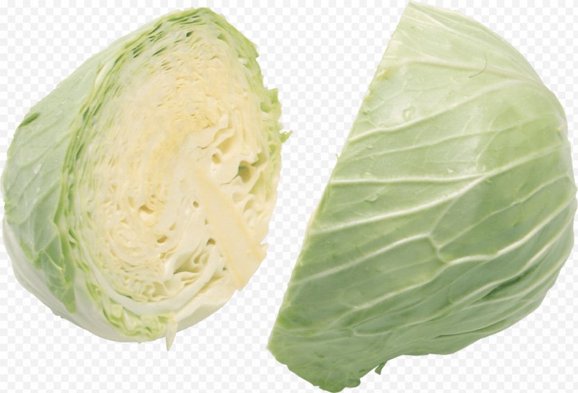 Savoy Cabbage Leaf Vegetable - Kohlrabi PNG