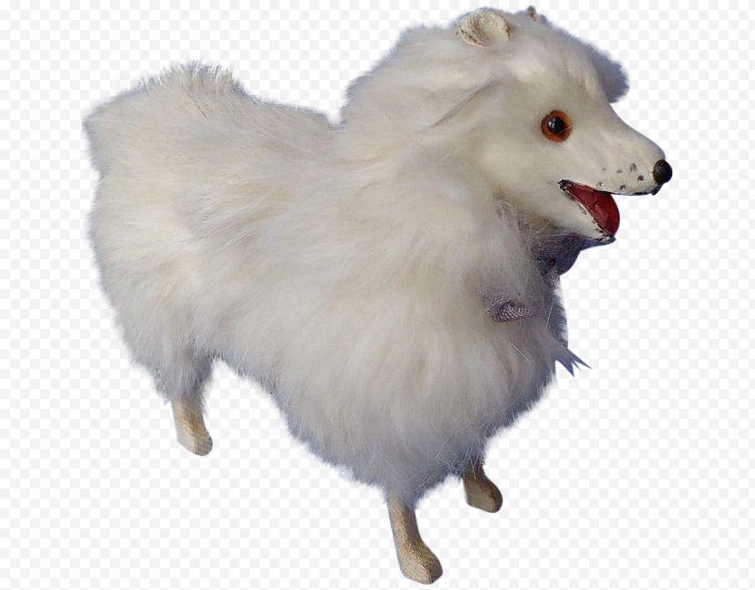 German Spitz Klein Mittel Japanese Pomeranian American Eskimo Dog Fur Png