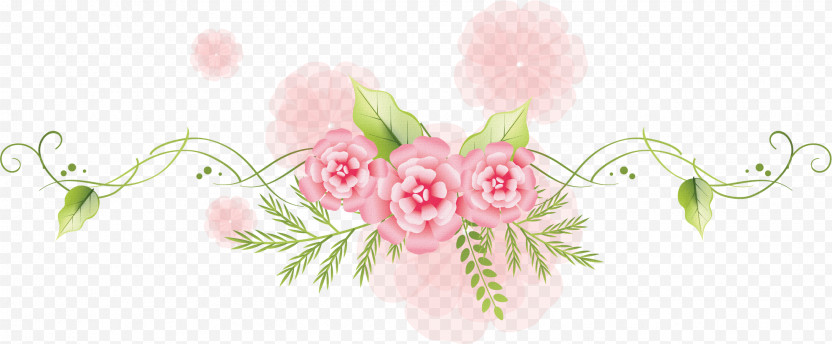 Flower Border Flower Background PNG