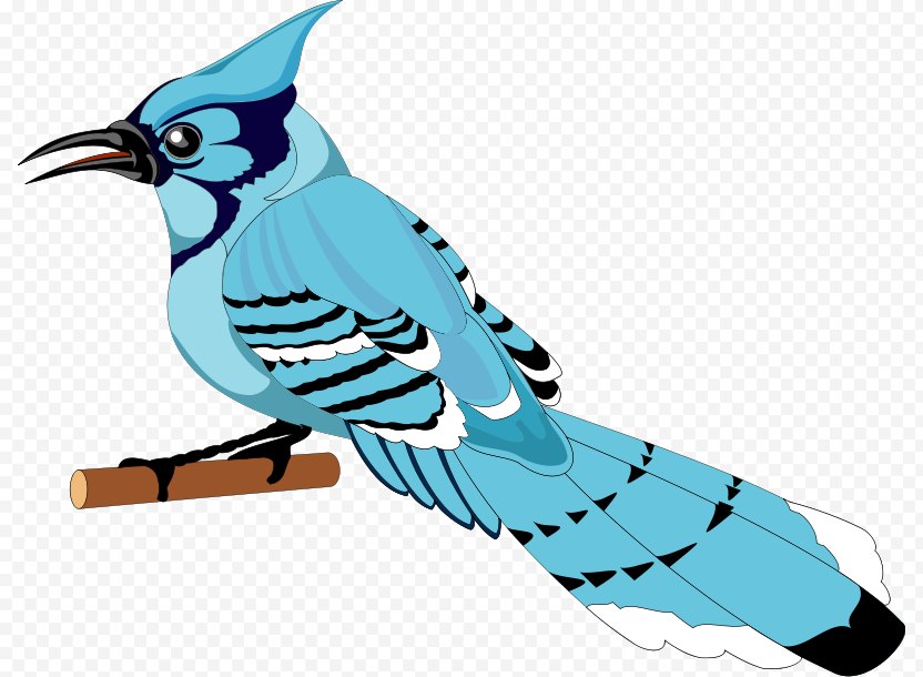 Toronto Blue Jays Bird Clip Art Beak Png