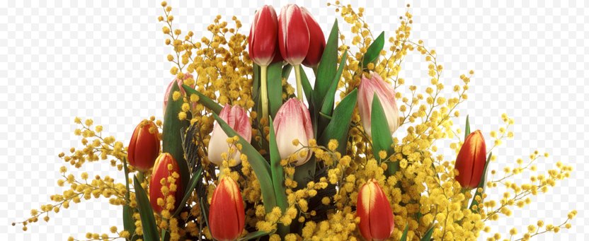 Tulips In A Vase Flower Raster Graphics - Spring PNG