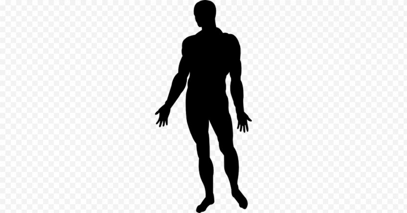 Human Body Silhouette Homo Sapiens Photography - Leg PNG