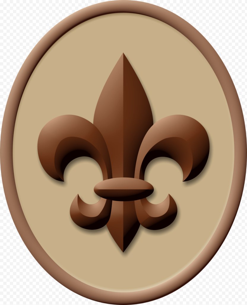 Boy Scout Handbook Ranks In The Scouts Of America Scouting Eagle PNG