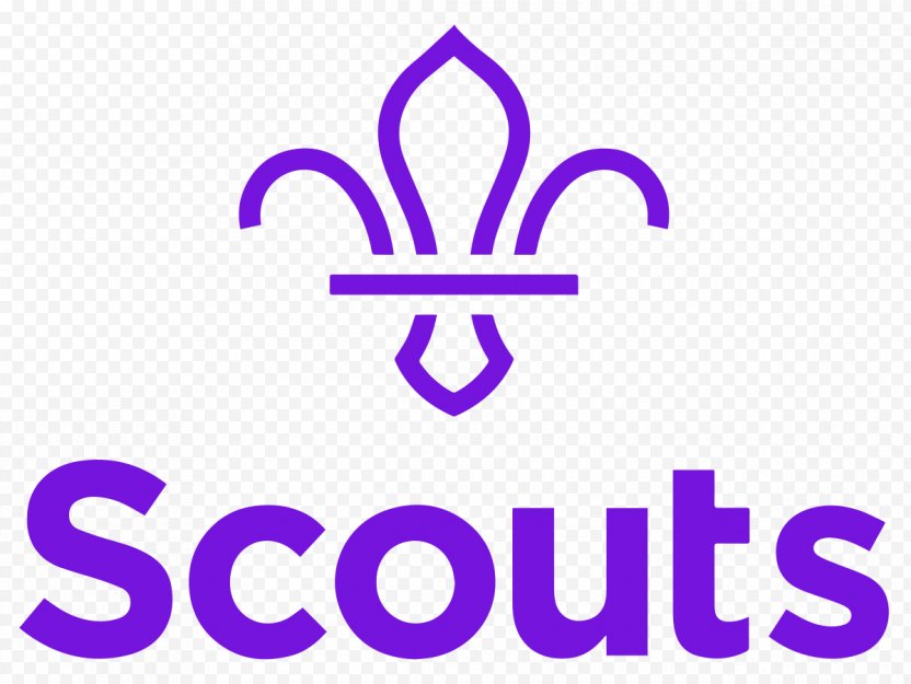 Logo World Scout Emblem Scouting The Association Group - Uniform And Insignia Of Boy Scouts America PNG