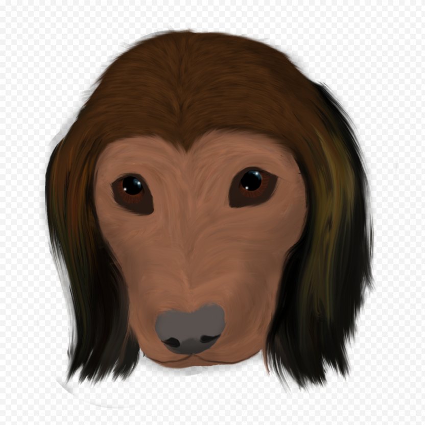 Dog Breed Snout Headgear - Face PNG