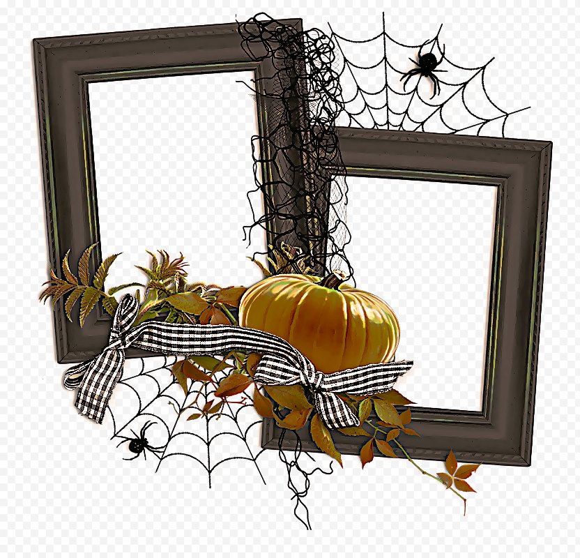 Basketball Hoop Background - Picture Frame PNG