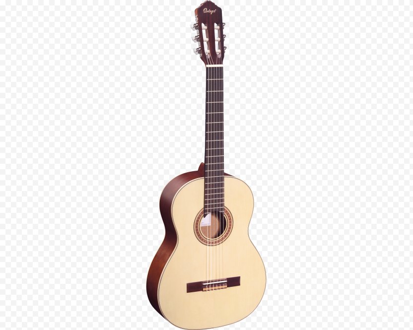 Steel-string Acoustic Guitar Acoustic-electric Musical Instruments - Watercolor PNG