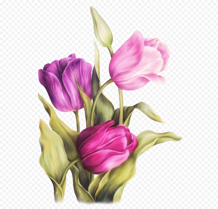 Watercolor Painting Art Tulip - Still Life Photography PNG