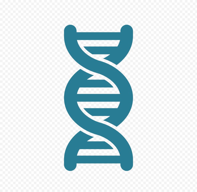 DNA Nucleic Acid Double Helix Vector Artificial Gene Synthesis - Dna ...