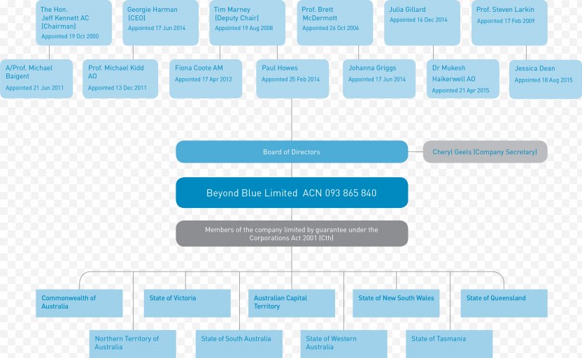 Organizational Structure Corporate Governance Haus Romberg Board Of Directors Chart Png