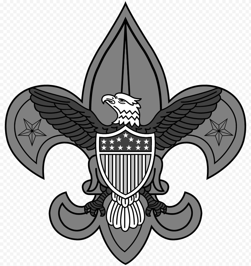 Boy Scouts Of America Scouting World Scout Emblem Eagle Vector Graphics PNG