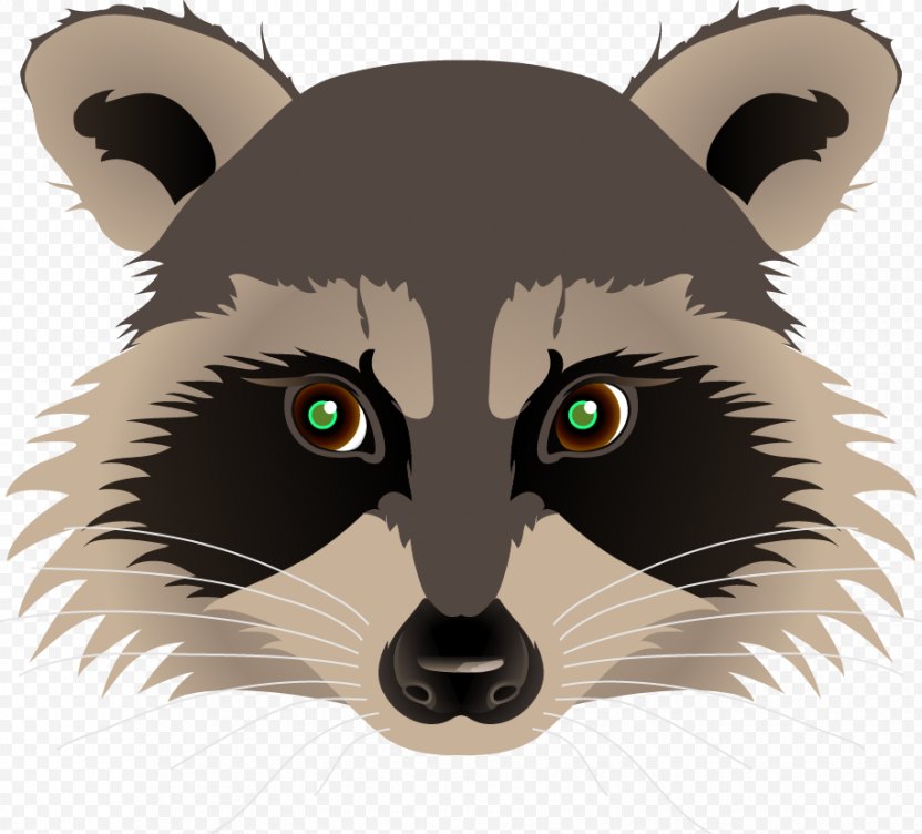 Raccoon Drawing Painting Clip Art - Whiskers PNG