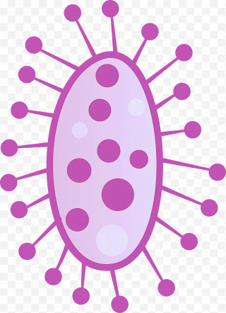 Virus PNG Images, Transparent Virus Images