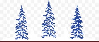 Tree Snow Pine Clip Art PNG