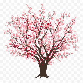 Cherry Blossom Tree PNG