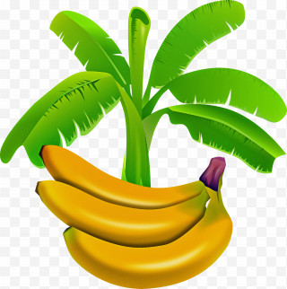 Banana PNG Images, Transparent Banana Images