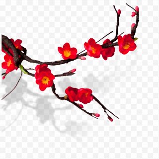 Chinese Flower PNG Images, Transparent Chinese Flower Images