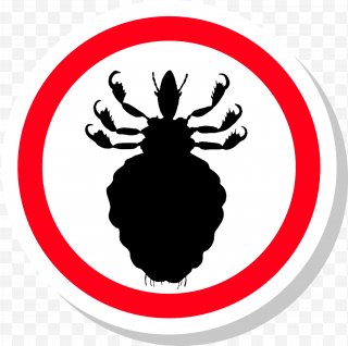 Louse Png Images Transparent Louse Images