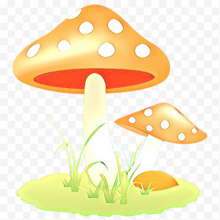 Mushroom PNG Images, Transparent Mushroom Images