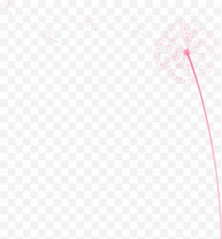 Dandelion フリースクール オンリーワン Png Images Transparent Dandelion フリースクール オンリーワン Images